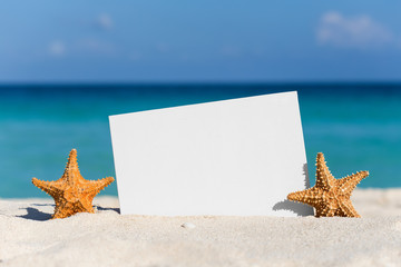 Blank white board and two starfishes on sand