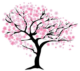 cherry tree