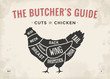 Cut of meat set. Poster Butcher diagram and scheme - Chicken. Vintage typographic hand-drawn. Vector illustration.