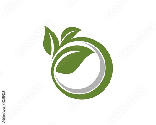 circle ring green leaf logo template 3 buy this stock vector and green leaf template