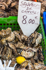 Wall Mural - Oysters market in Cancale, France