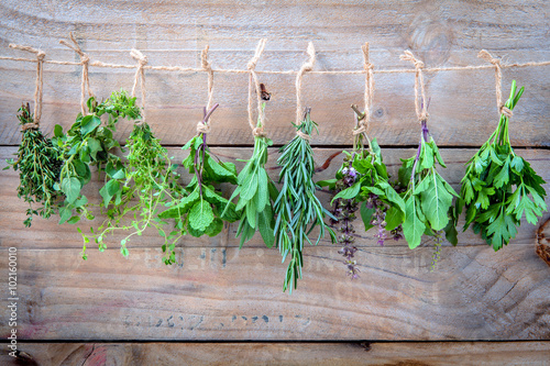 Fototapeta do kuchni Assorted hanging herbs ,parsley ,oregano,mint,sage,rosemary,swee