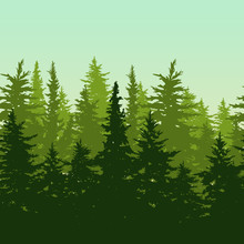 Vector Horizontal Seamless Background With Green Pine Or Fir-tre