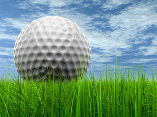 Wall Mural - White golf ball in grass and sky