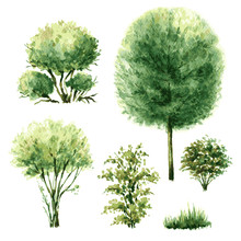 Set Of Green Trees And Bushes.