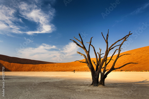 Tapeta ścienna Martwe drzewa w sossusvlei, w pustyni Namib, Namibia