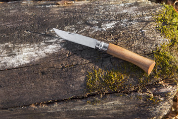 Wall Mural - folding knife on log