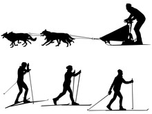 Cross Country Skiing And Dog Sledding Sport Silhouette