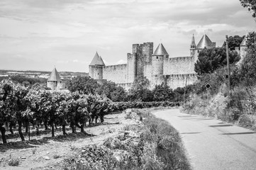 Wall Mural - Carcassonne