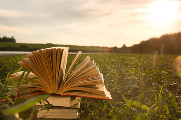 Wall Mural - Opened hardback book diary, fanned pages on blurred nature lands