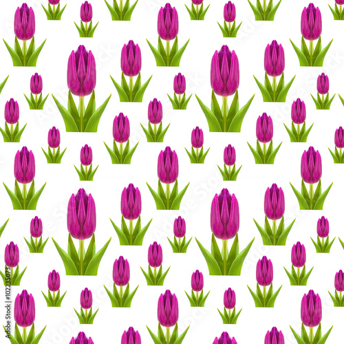 pattern of pink and purple tulips