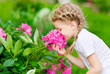 Beautiful blond little girl with braided long hair smelling flower, peony on sunny day in summer garden, park or backyard