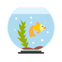 Aquarium flat icon