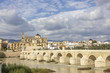 Mosque and Roman Bridge in Cordoba - Spain