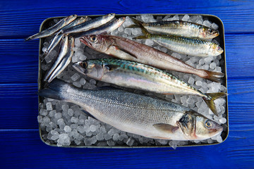 Wall Mural - Fresh fish hake seabass sardine mackerel anchovies