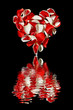 Serce z płatków róż na białym tle z odbiciem w wodzie.Walentynki.Białe i czerwone płatki róż ułożone w kształcie serc.