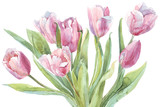 Tulips bouquet watercolor illustration
