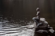 © Daddy Cool - Statue of girl-mermaid on a rock near a pond