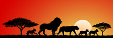 African Lions.Lions Silhouettes At Sunset And Abstract Landscape. Lions Family.                                                                                          