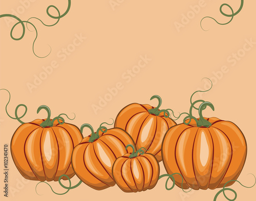 Fresh Pumpkins on white background. Vector