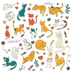 Cute colorful set of hand drawn cats with twigs flowers and leaves