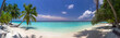 Idyllic tropical beach panorama with turquoise water, white sand, and palm trees. The image is isolated and peaceful, with no people in sight. Perfect for travel ads and blogs