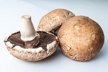 Three Big Brown Champignon Mushrooms On White Background Two Up With Caps One Upside Down