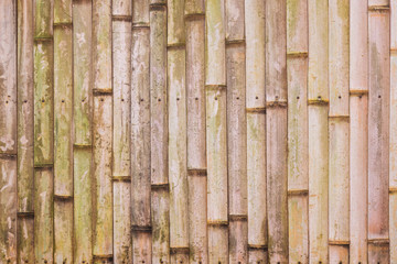 Old bamboo texture.