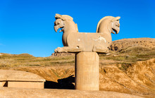 Achaemenid Griffin At Persepolis - Iran