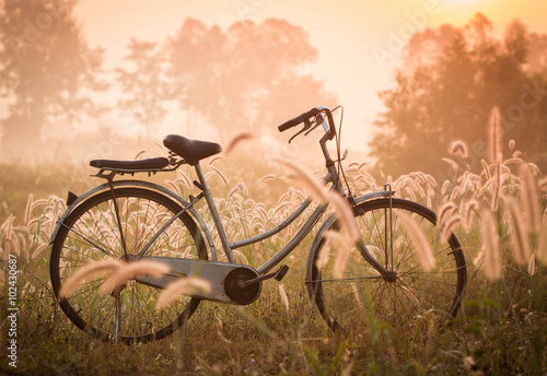 Obraz w ramie bike on a grass flower in the morning