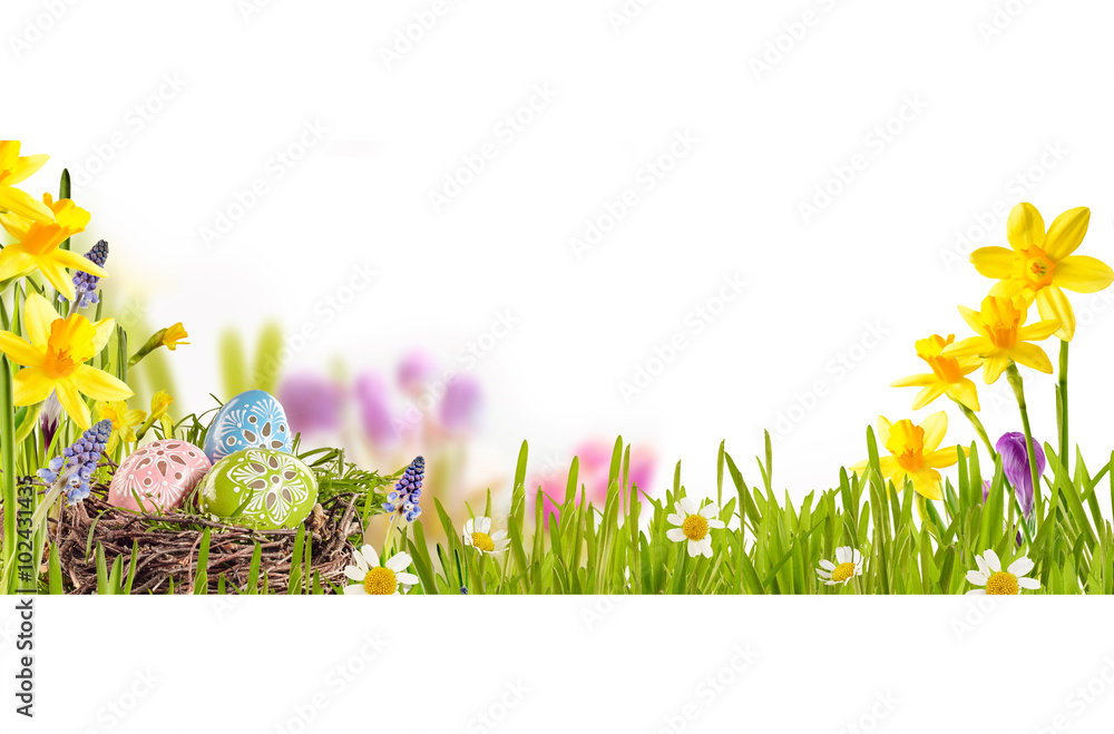 Easter background with eggs and spring flowers Stock Photo | Adobe Stock