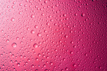 Wall Mural - Water drops pink background