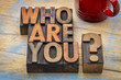 Who are you question in wood type