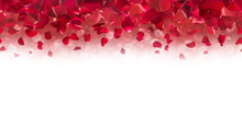Red Rose Petals, Falling From Up Above, Each Studio Photographed, Horizontally Repeatable, With A Soft Bokeh Background, Fading Into Absolute White