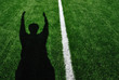 Shadow of American Football Referee Signaling Touchdown