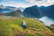 Classic norwegian scandinavian summer mountain landscape view with mountains, fjord, lake with a blue sky, Norway, Lofoten Islands