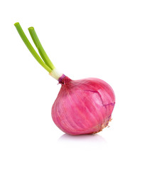 Wall Mural - Red onion isolated on white background