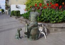Dog Familiarity With Sculpture