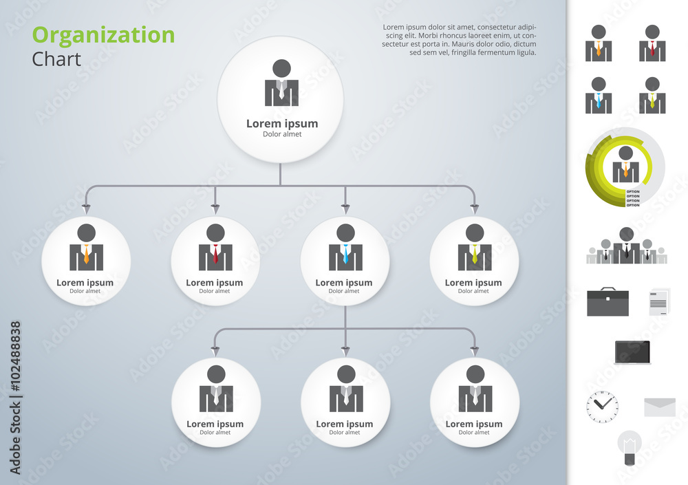 Vector modern and simple organization chart template. vector ill Stock ...