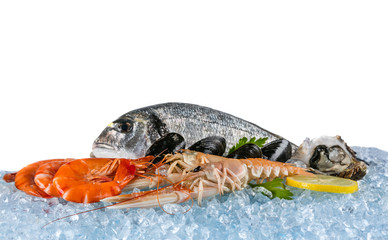 Fresh seafood isolated on white background