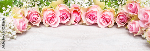 Fototapeta do kuchni Rosa Rosen und Schleierkraut, Grußkarte, Banner