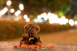 Fototapeta Dziecięca - Cute teddy bear on bokeh background 