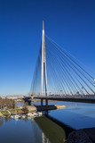 Fototapeta Mosty linowy / wiszący - A modern bridge over the Sava River in Belgrade