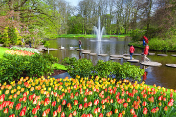 Fototapete - Scenic with lake in Spring Park Keukenhof, Netherlands