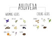 Hand-sketched collection of elements of Ayurvedic spices in our kitchen. Warming and cooling Herbs and supplements Ayurveda.