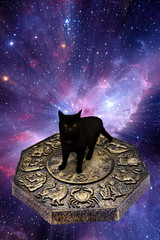 Wall Mural - black cat and astrology