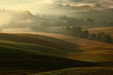 Canvas Print - Idyllic view of hilly farmland in Tuscany in beautiful morning light, Italy