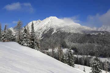 Canvas Print - Winter scene in mountains