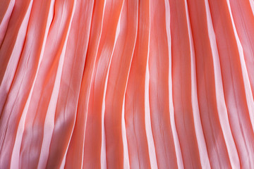 pleated skirt fabric texture