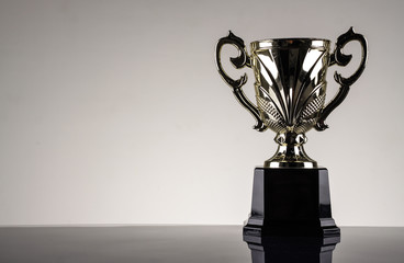 winning trophy championship award